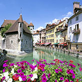 Cruise Options travel agent cruise specialist