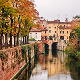 Cruise Options travel agent cruise specialist
